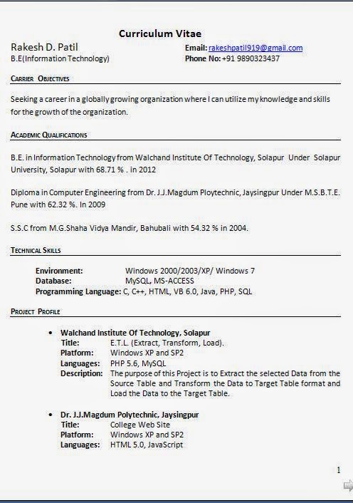 Title 6 experience resume